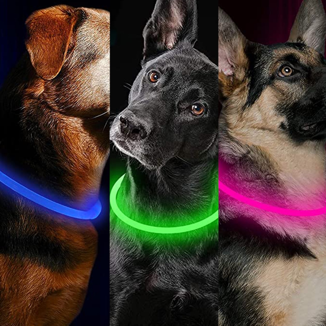 Keep Your Dog Safe With an LED Collar That Has 18,500+ 5-Star Reviews